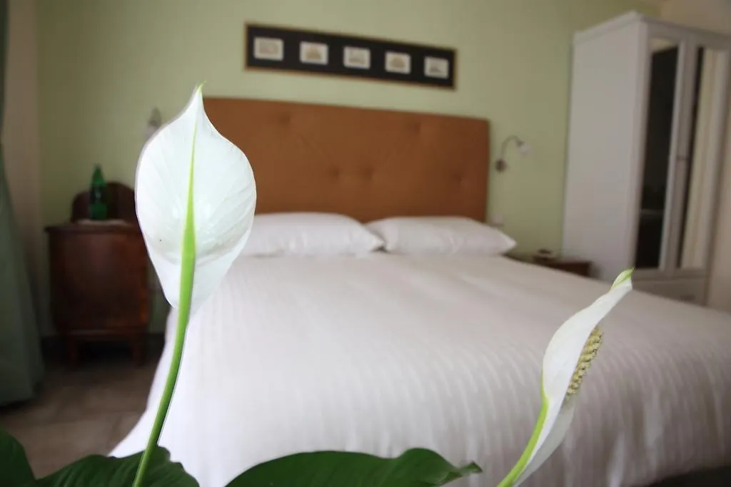 Anice Guesthouse-1